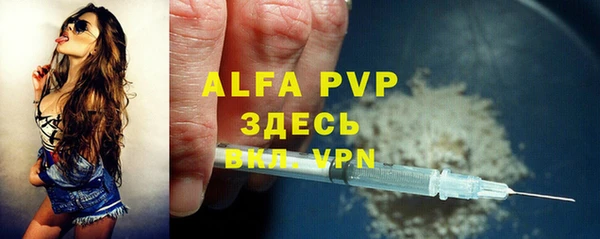 шишки Заволжье